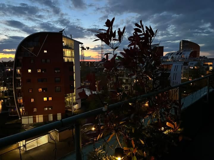 Foto 49 van Bordeslaan 316