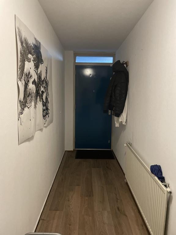 Foto 11 van Piet Heinlaan 37