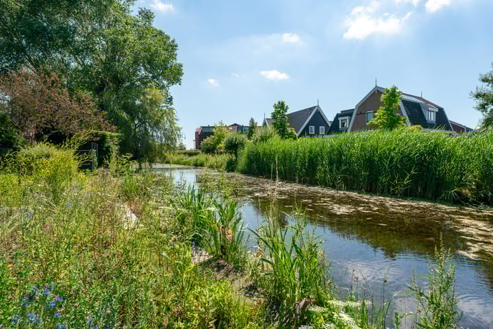 Foto 29 van Burgemeester de Boerlaan 9