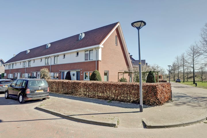 undefined main image