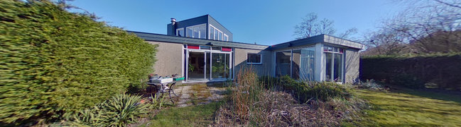 achtertuin