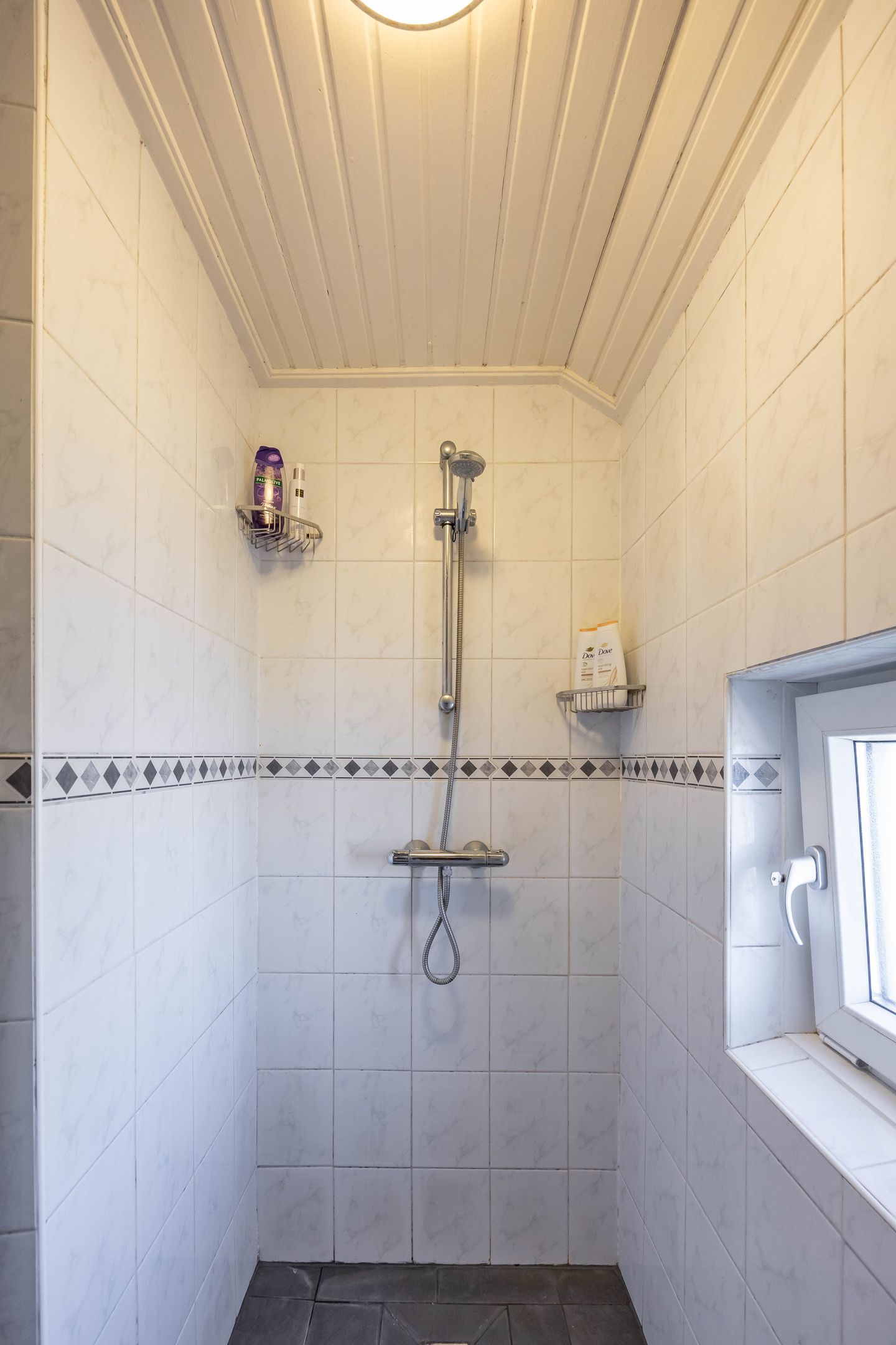 Foto 55 van Ganzebloemstraat 4