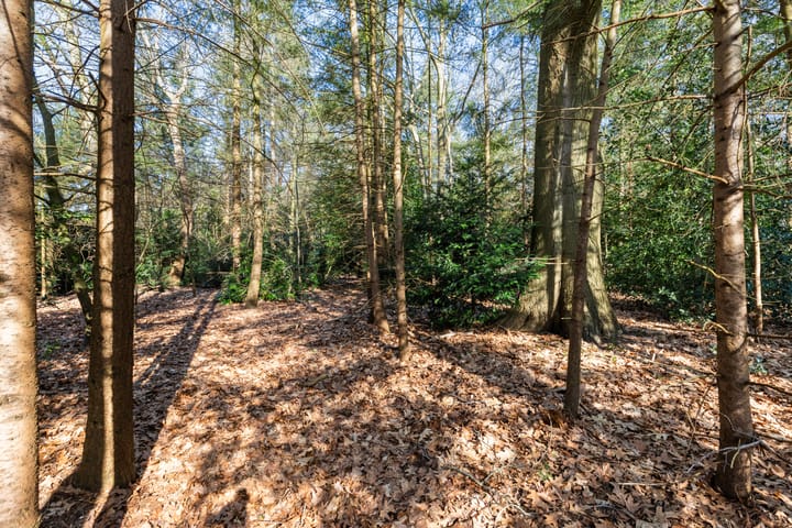 Foto 31 van Veenhuizerveldweg 37