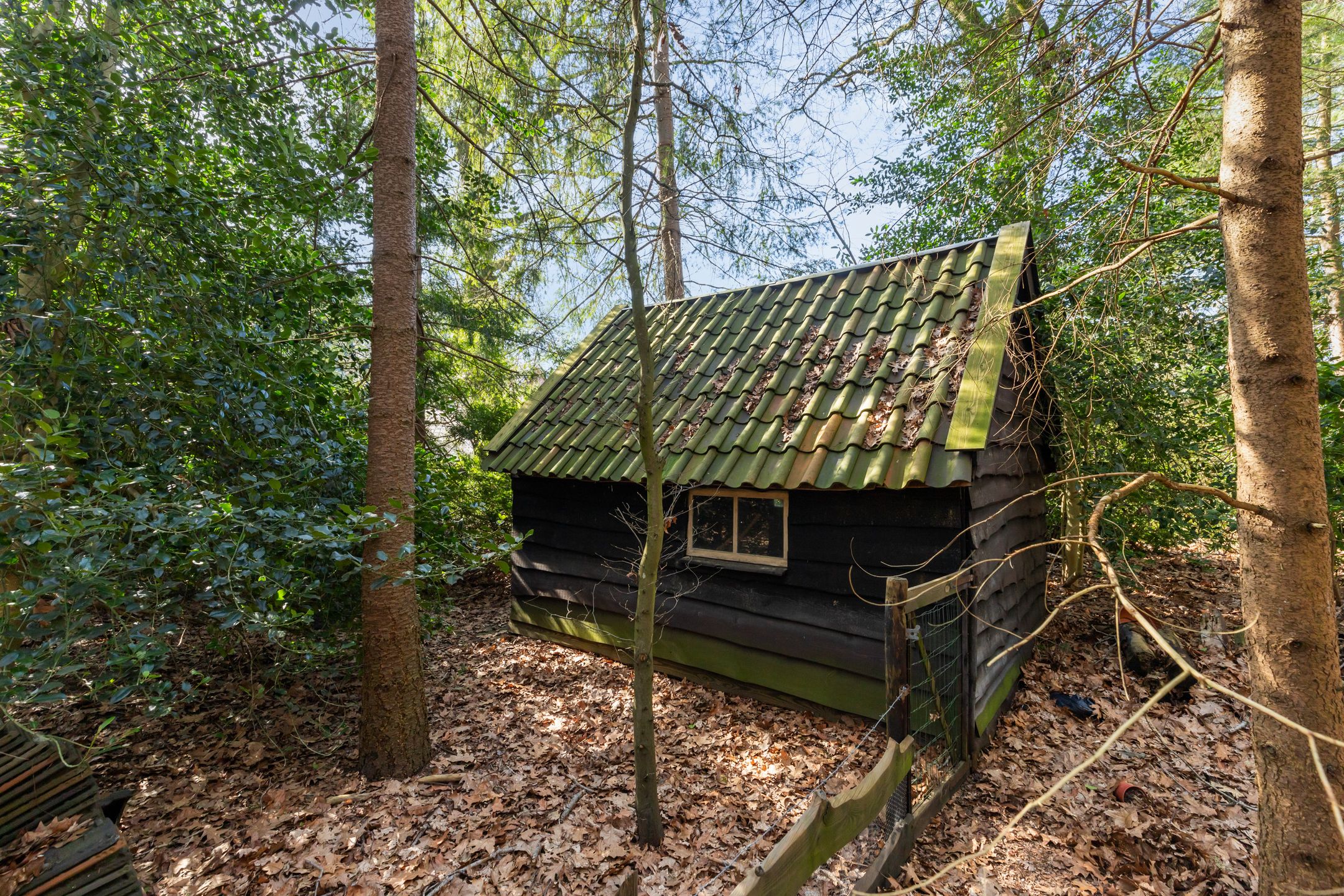 Foto 36 van Veenhuizerveldweg 37