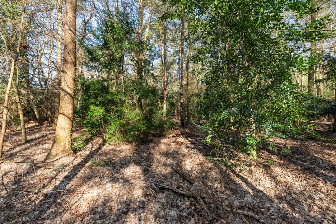 Foto 38 van Veenhuizerveldweg 37