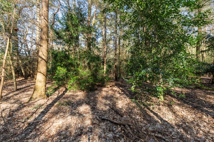 Foto 38 van Veenhuizerveldweg 37