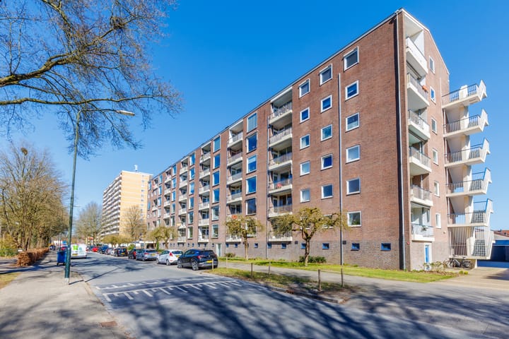 Foto 19 van Henri Dunantlaan 331