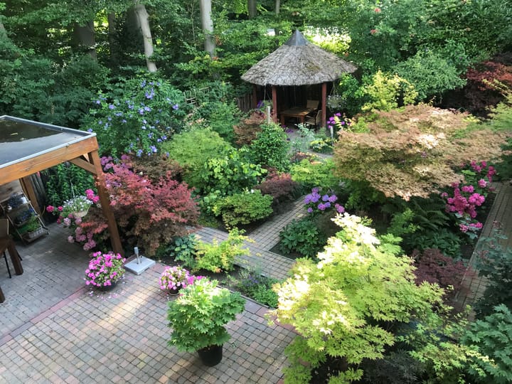 Foto 44 van De Schalm 9