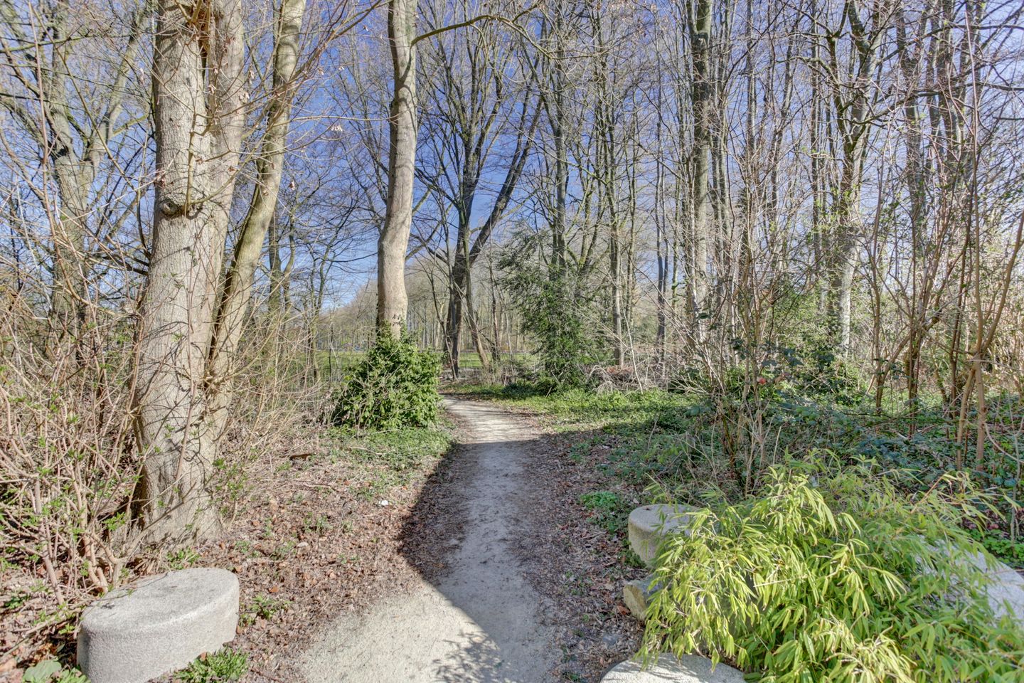 Foto 50 van De Schalm 9