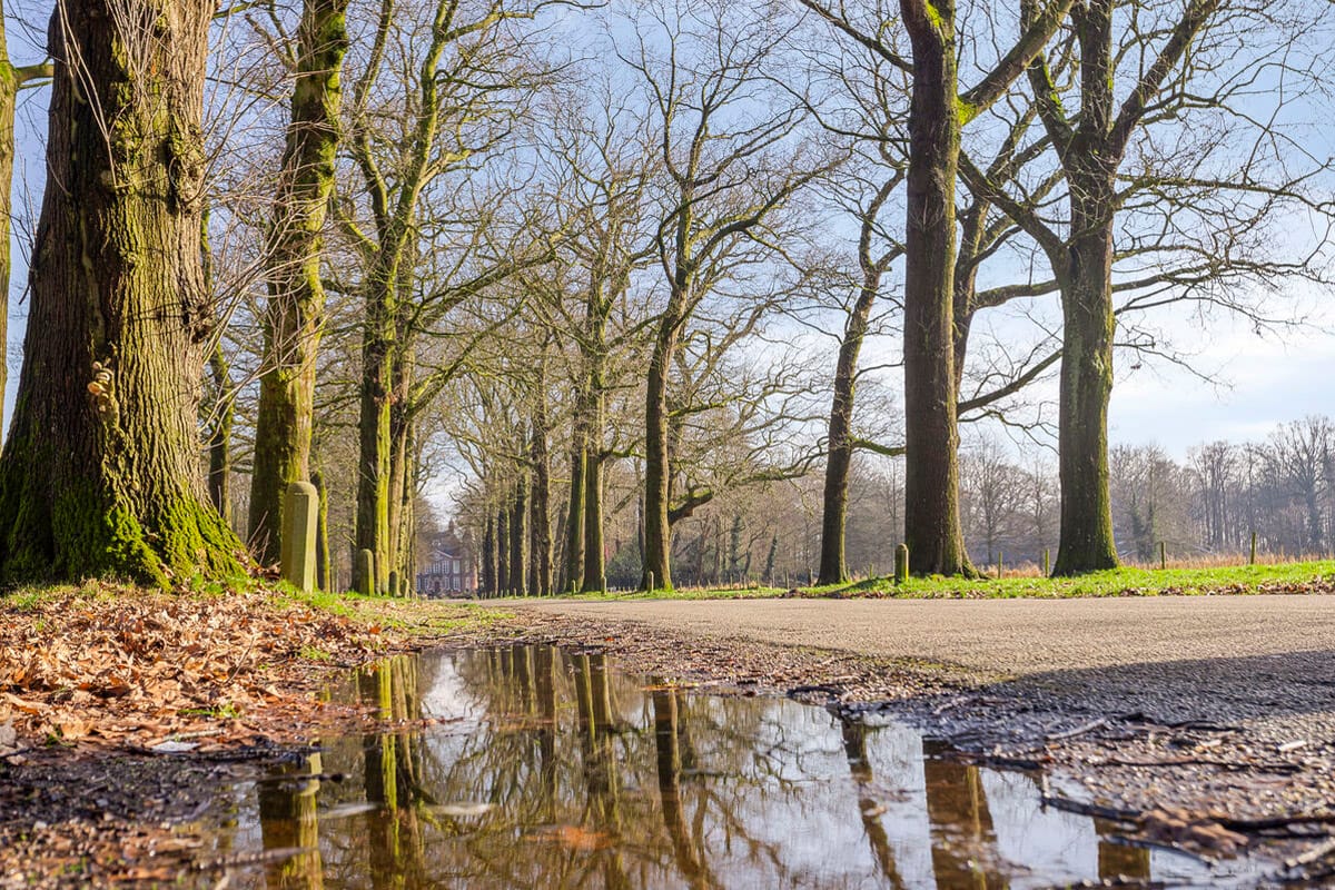 Foto 34 van Middelhagenhof 110