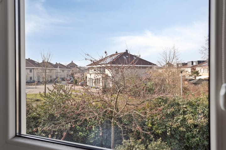 Foto 33 van Henri Lafontainehof 20