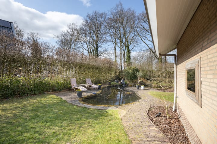 Foto 53 van Contrabas 46