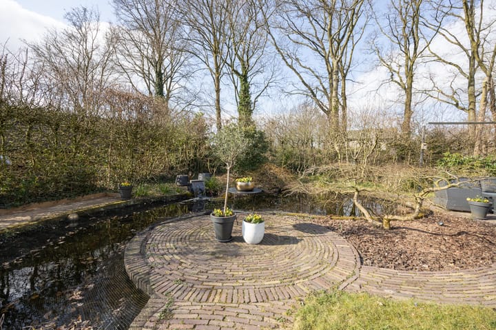 Foto 54 van Contrabas 46