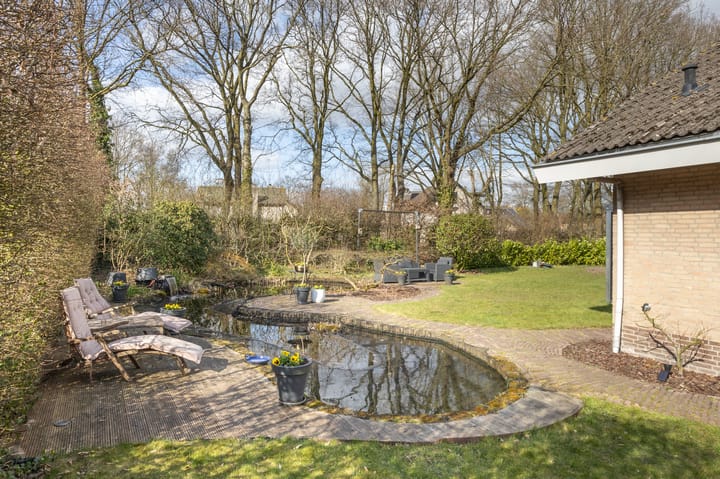 Foto 55 van Contrabas 46