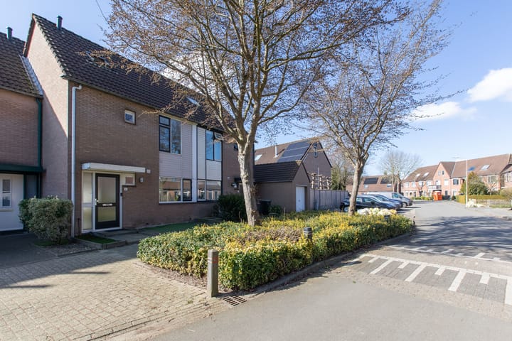 Foto 46 van Steenstraat 41