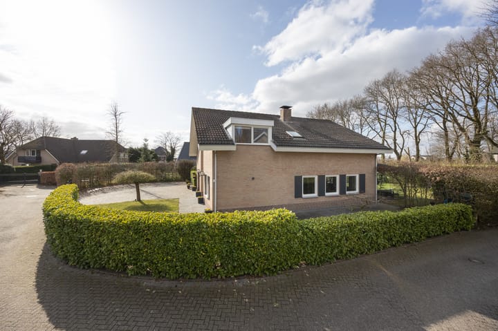 Foto 64 van Contrabas 46