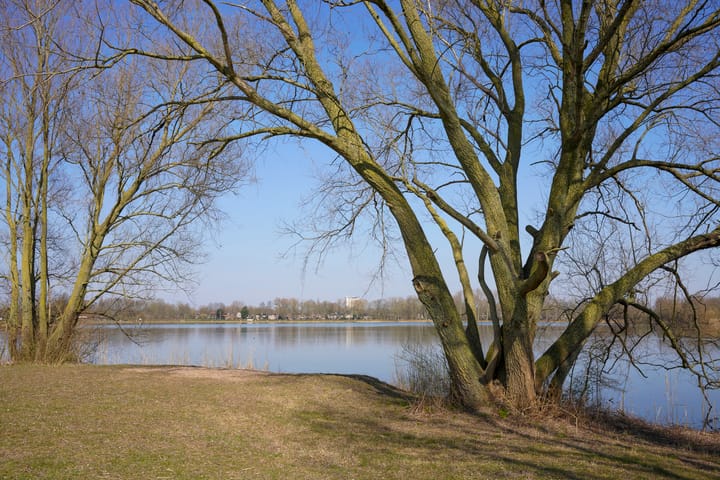 Foto 36 van Boshovenstraat 28