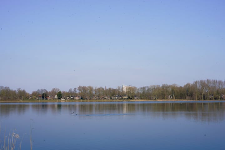 Foto 37 van Boshovenstraat 28