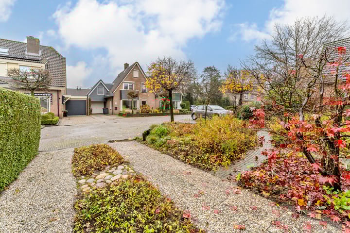 Foto 4 van Kostverloren 7