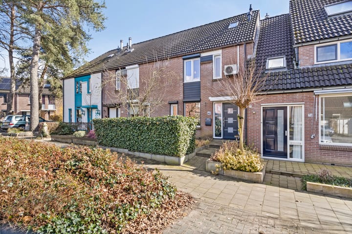 Foto 36 van Vogelslag 78