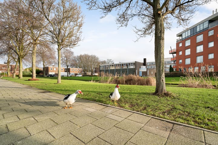 Foto 40 van Van Byemontsingel 10