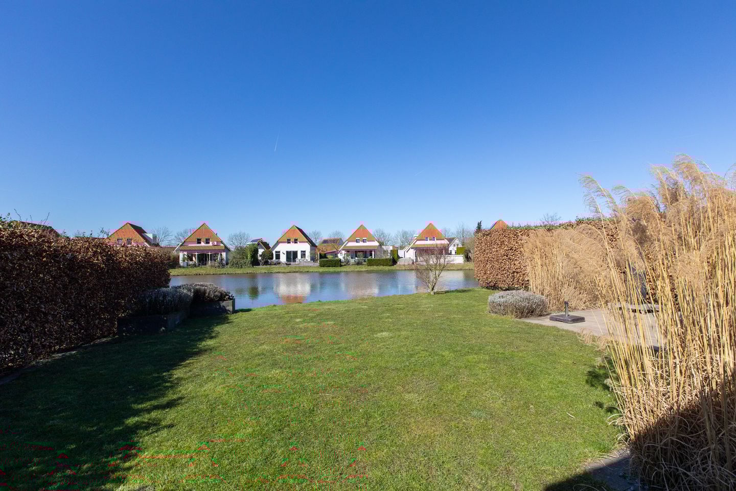 Foto 4 van Blauwe Reiger 17