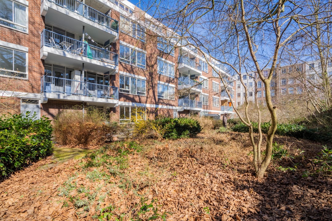 Foto 28 van Borgerstraat 17-A