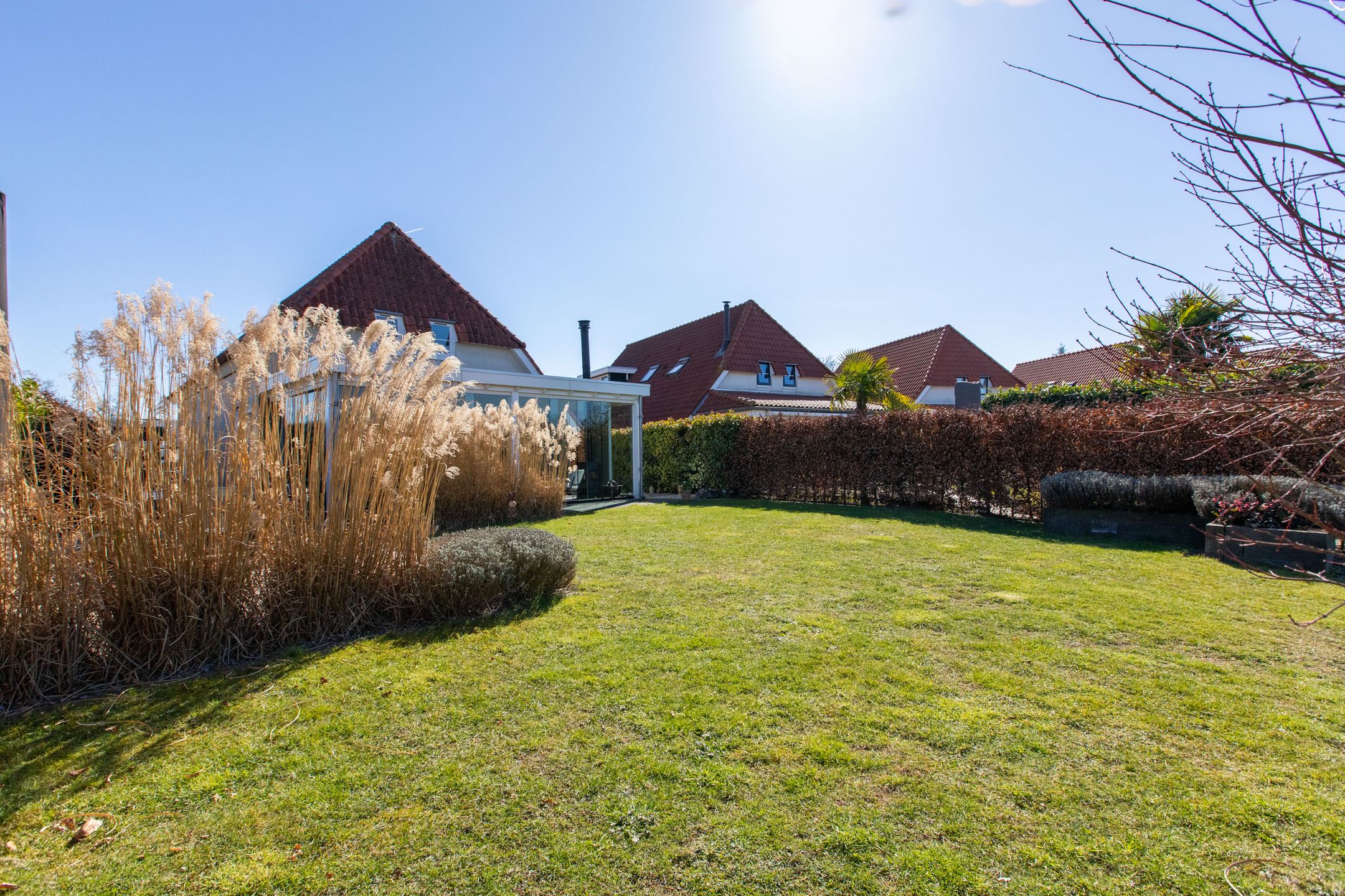 Foto 39 van Blauwe Reiger 17