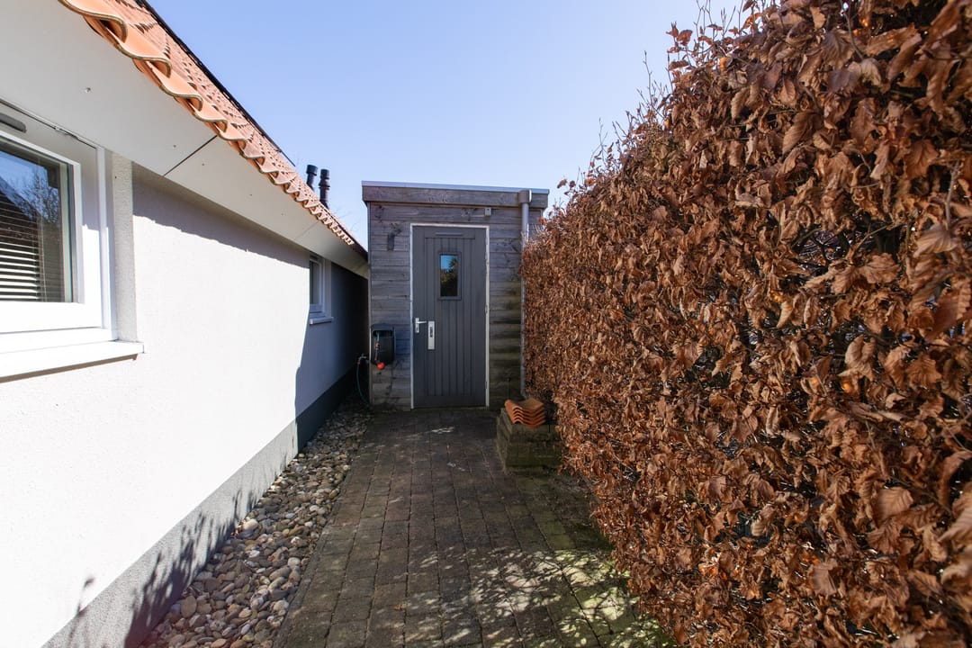 Foto 41 van Blauwe Reiger 17