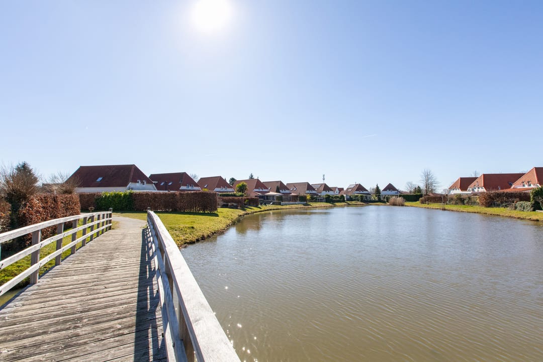 Foto 43 van Blauwe Reiger 17