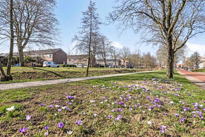 Foto 26 van Spittaalderkamp 73