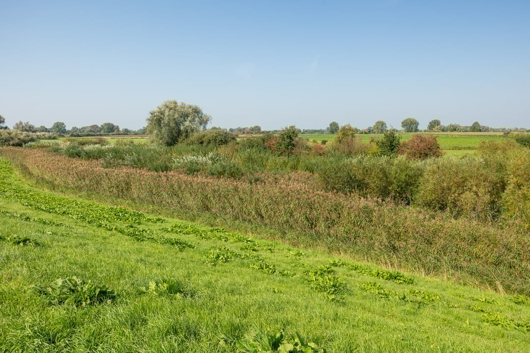 Foto 41 van Graanakker 23