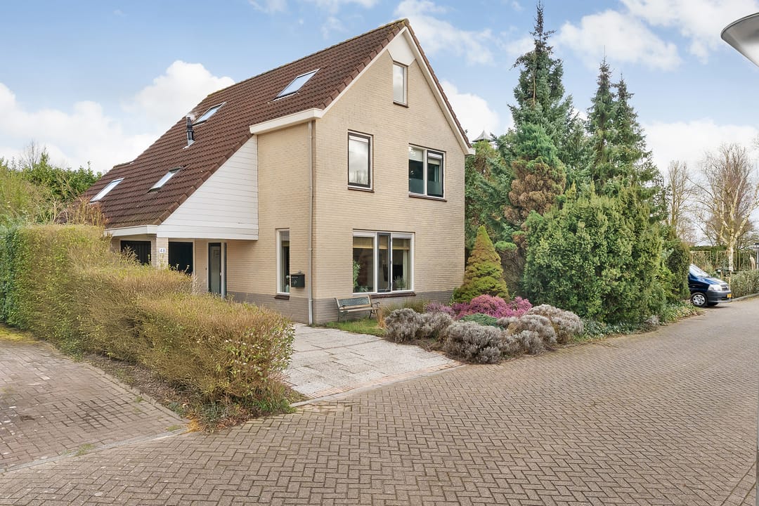 Photo 41 of Luteynmarke 48