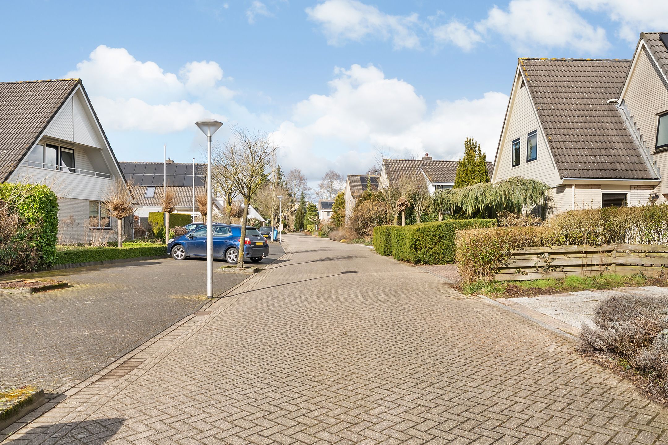 Photo 42 of Luteynmarke 48