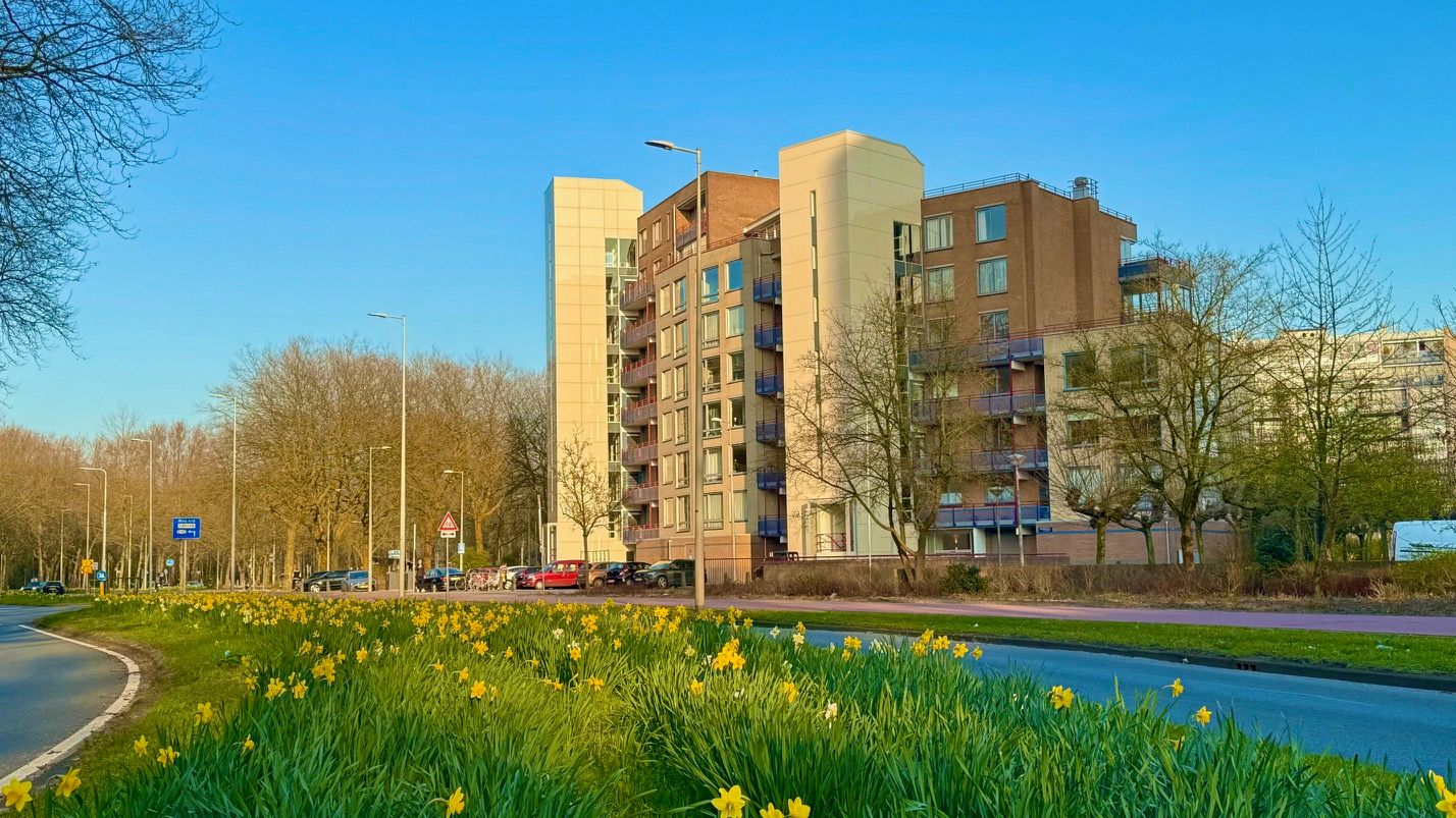 Foto 6 van Beysterveld 161