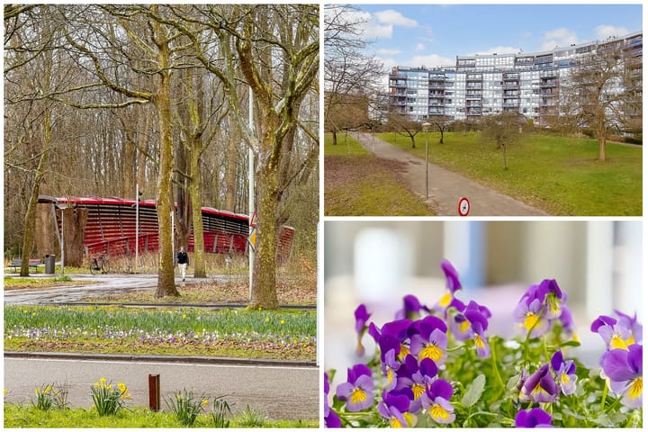 Foto 31 van Beysterveld 161