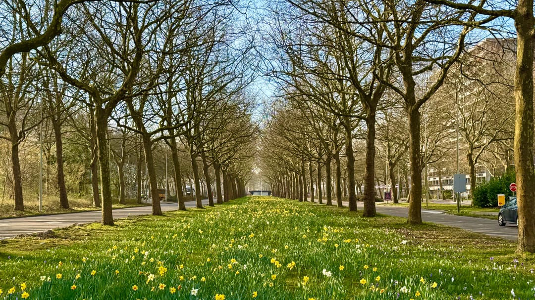 Foto 37 van Beysterveld 161