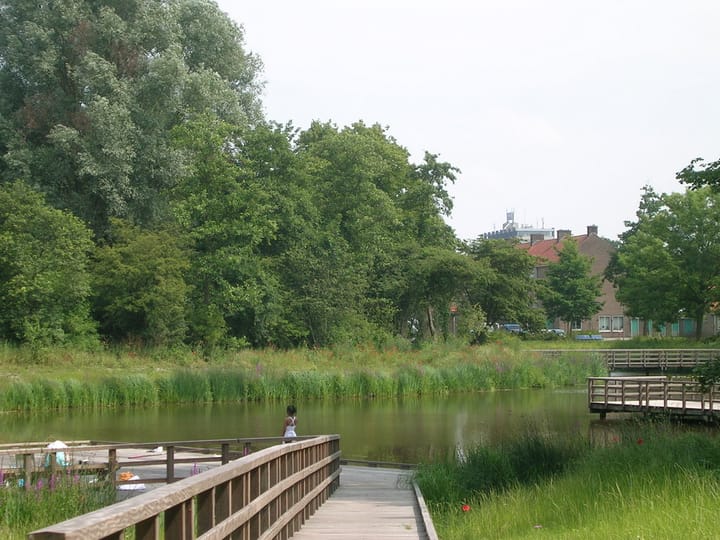 Photo 17 of Paul Scholtenstraat 60