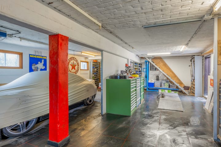 Foto 3 van Helmkruid 24