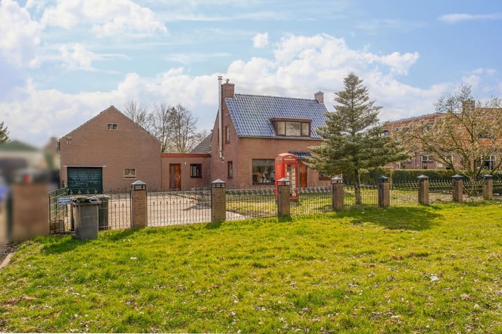 Foto 8 van Helmkruid 24