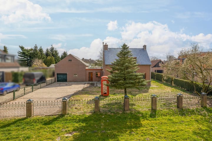 Foto 7 van Helmkruid 24