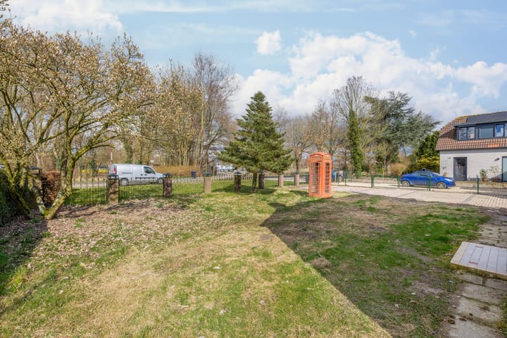 Foto 10 van Helmkruid 24