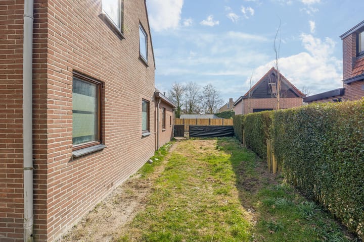 Foto 12 van Helmkruid 24