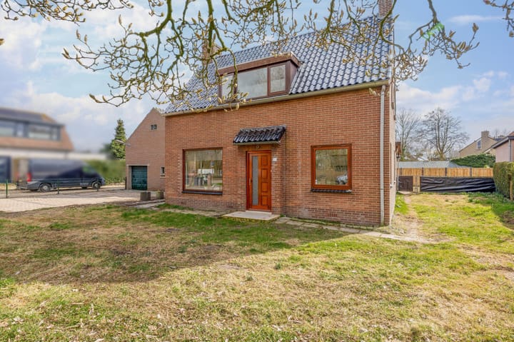 Foto 13 van Helmkruid 24