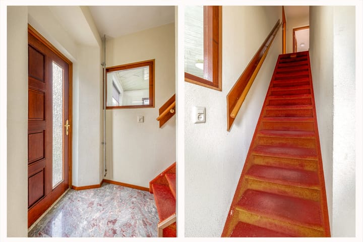 Foto 14 van Helmkruid 24