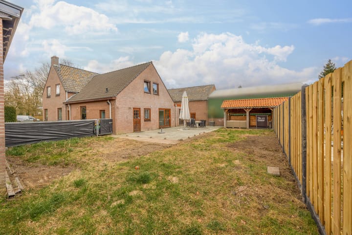 Foto 9 van Helmkruid 24