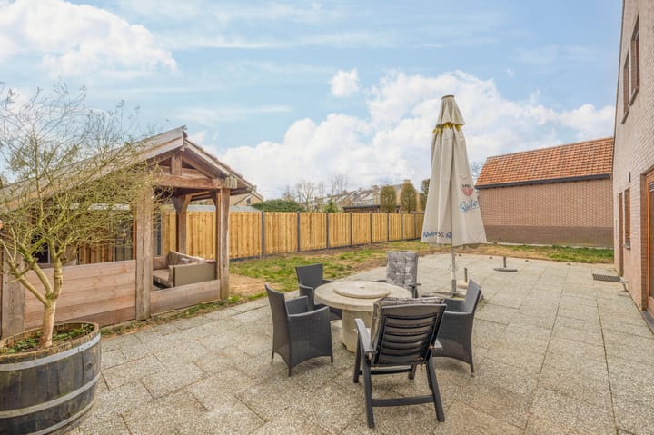 Foto 37 van Helmkruid 24