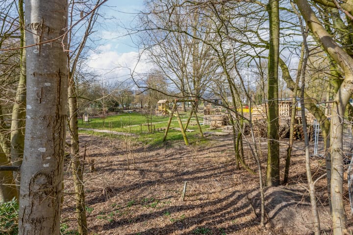 Foto 54 van Helmkruid 24