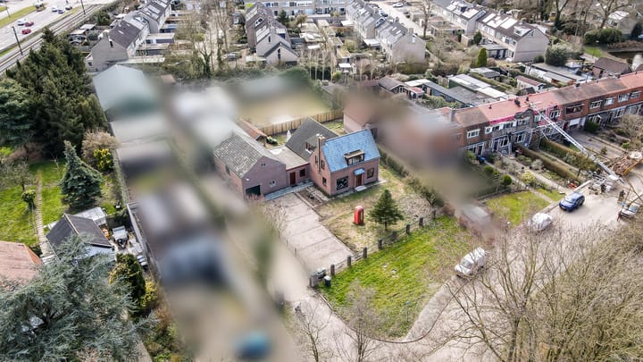 Foto 55 van Helmkruid 24