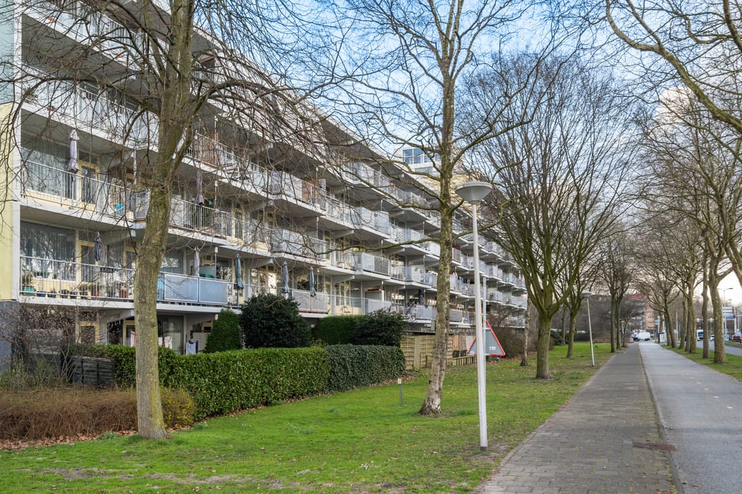 Foto 8 van Marsdiep 233